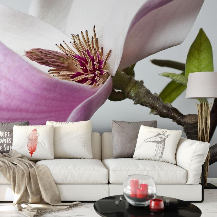 Papier peint photo Magnolia - 288x260 cm