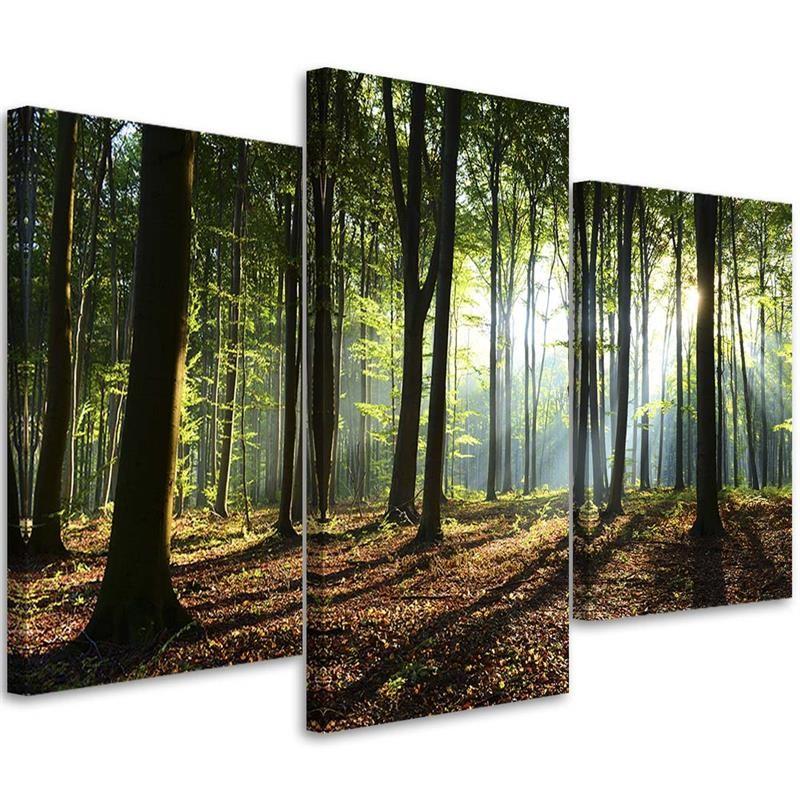 Tableau sur toile en 3 parties Arbres forestiers Rayons de soleil