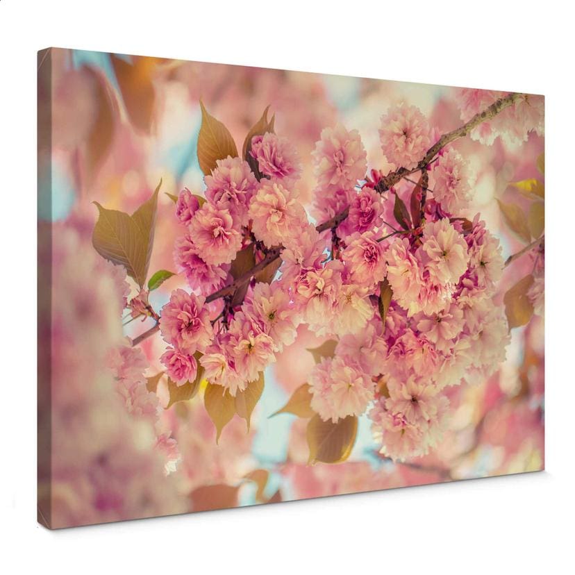 Tableau sur toile Delgado - Fleurs de cerisier