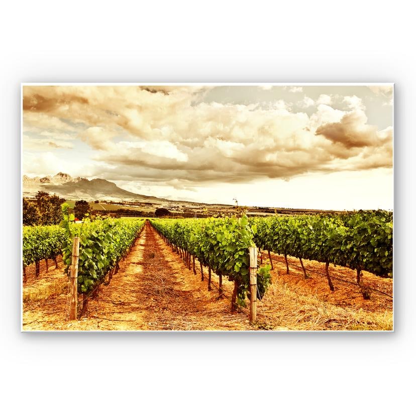 Tableau Forex - Vignes à la montagne