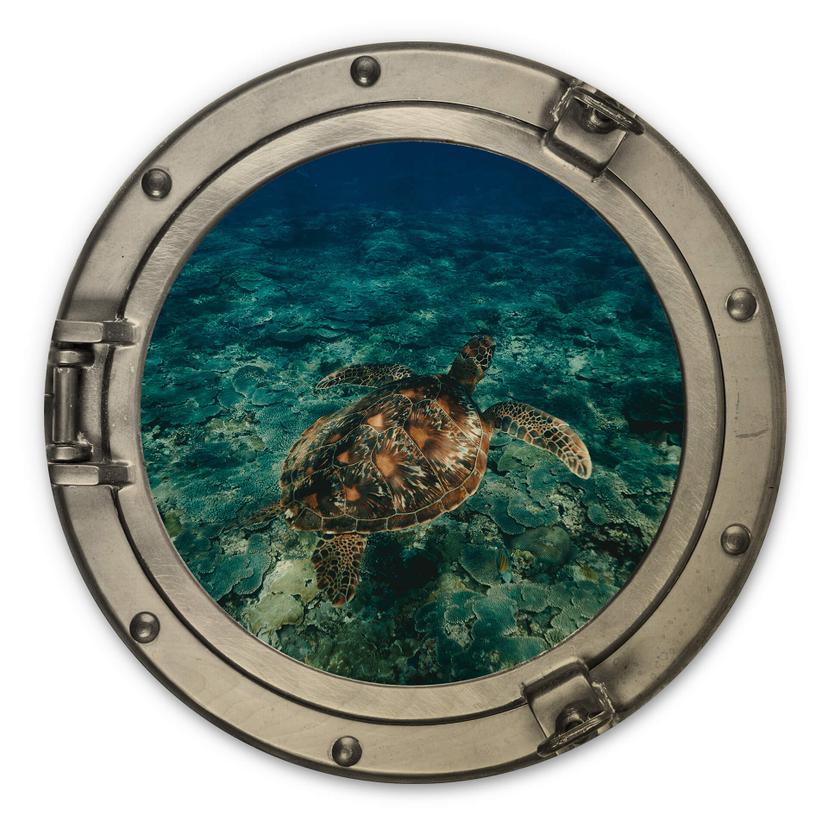 Tableau sur bois 3D Optik - Tortue vue du dessus - Rond