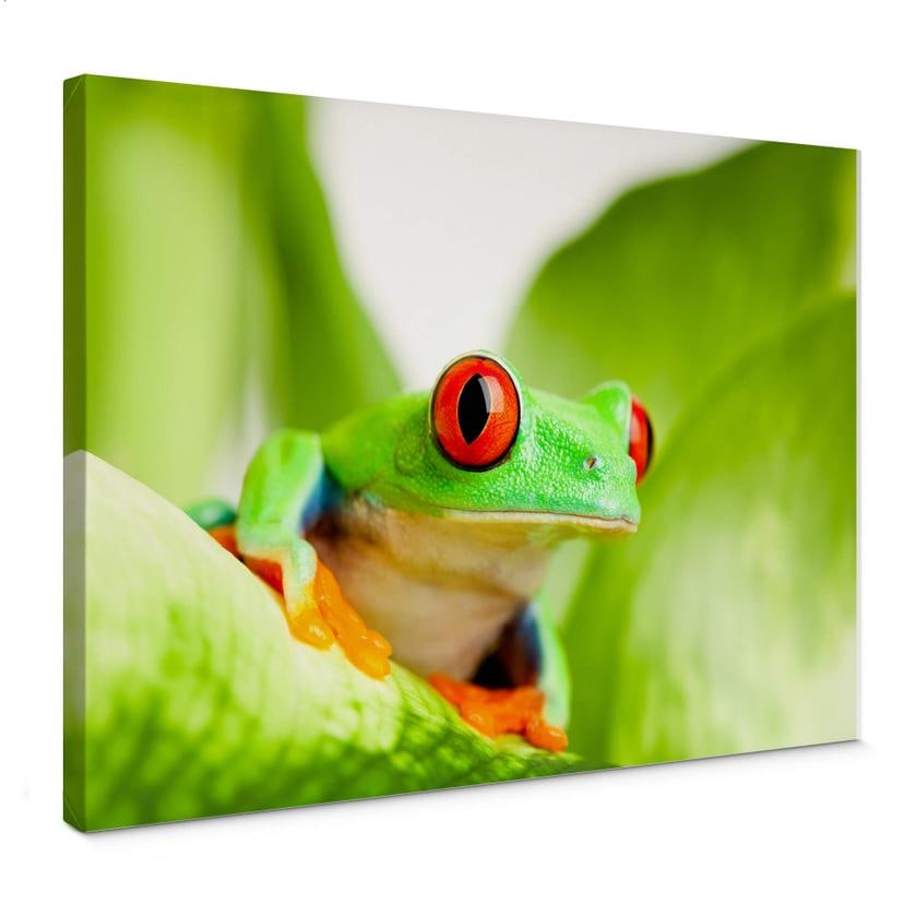 Tableau sur toile - Grenouille vert vif
