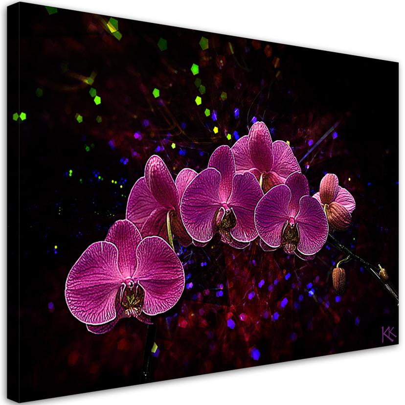 Canvasbillede, orkidéblomster pink spa