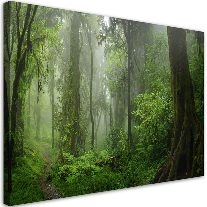 Canvasbillede, Tropisk jungle