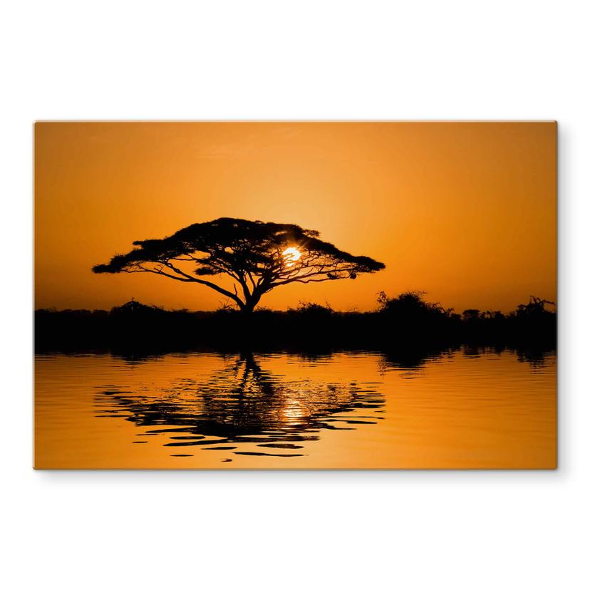 Pannello paraschizzi - Africa