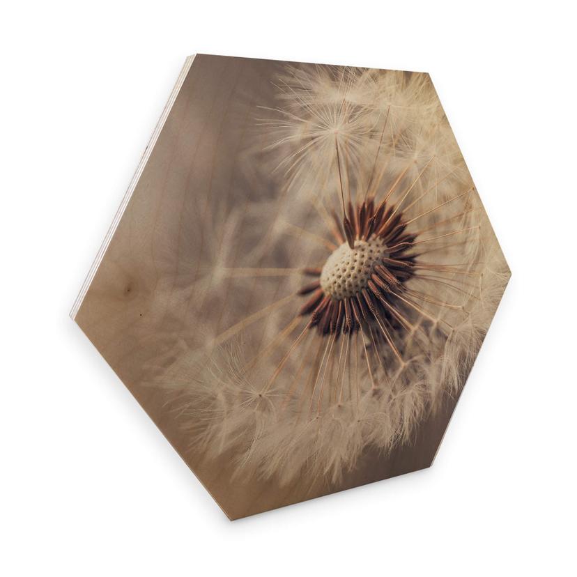 Hexagone - Placage bois de bouleau Delgado - Pissenlits