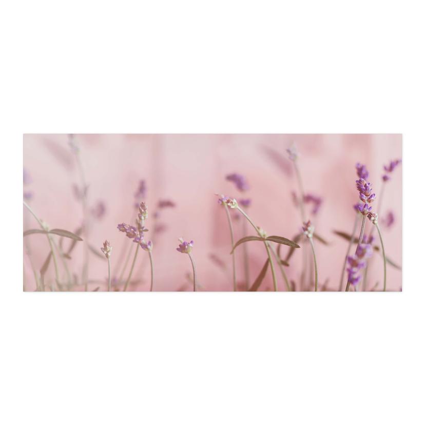 Rivestimento cucina autoadesivo Lavanda delicata