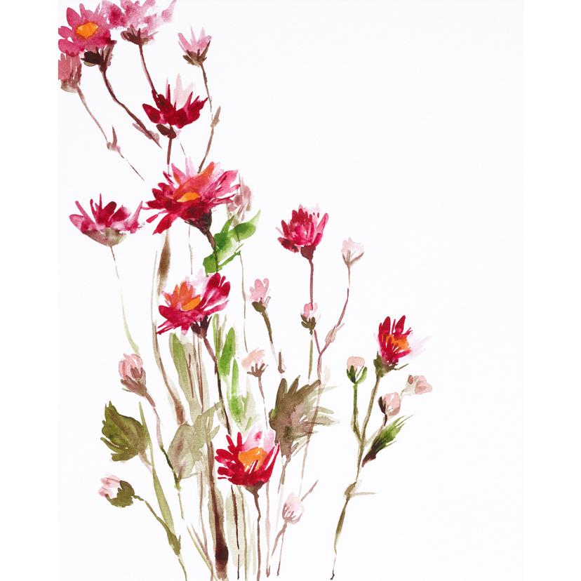Fotobehang Geillustreerde Wilde Bloemen