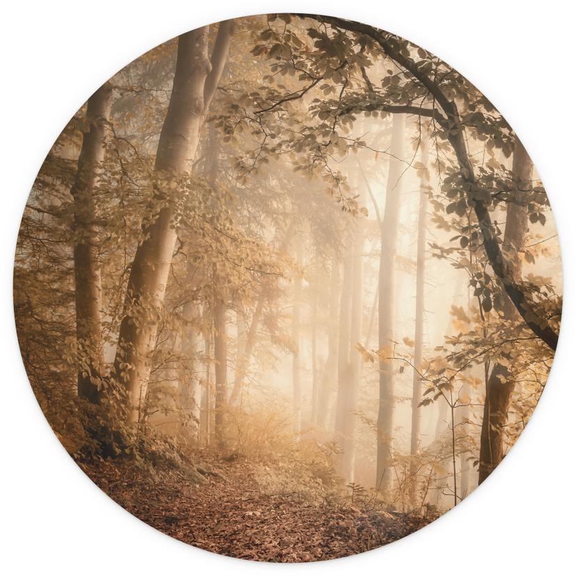 Fotomurale tondo Foresta nella nebbia del mattino - Maier - carta da parati in tessuto non tessuto/c