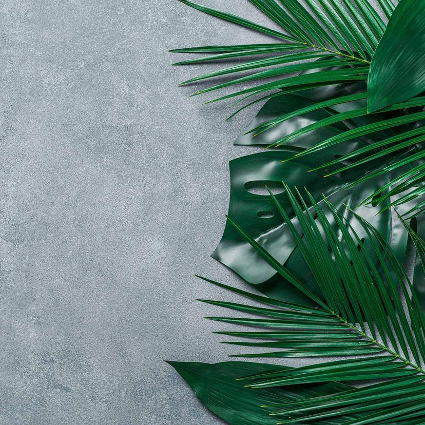 Carta da parati Nature PalmLeaves in grigio-verde - Carta da parati in tessuto non tessuto Designwal
