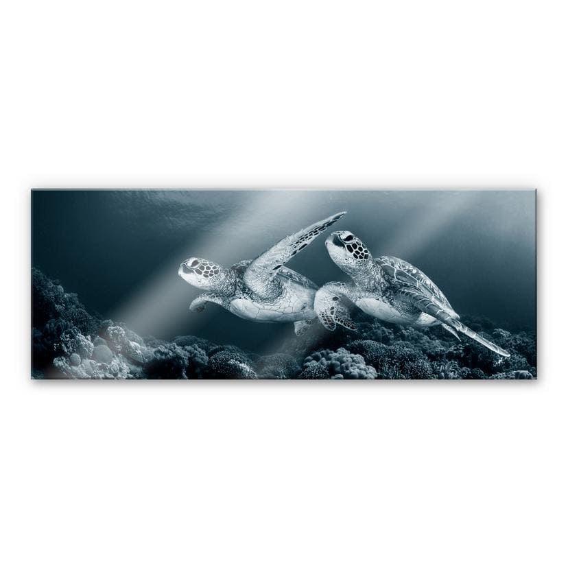 Tableau en verre acrylique - Narchuk - Deux tortues en voyage