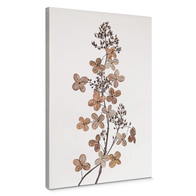 Cuadro Lienzo Disher - Hortensia