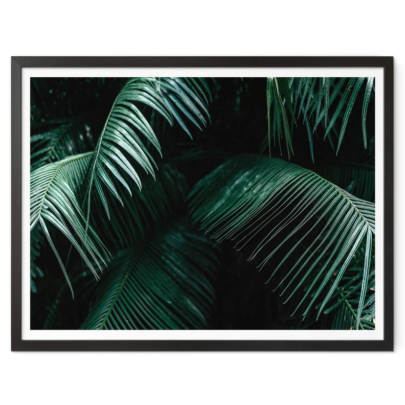 Póster Botánica tropical