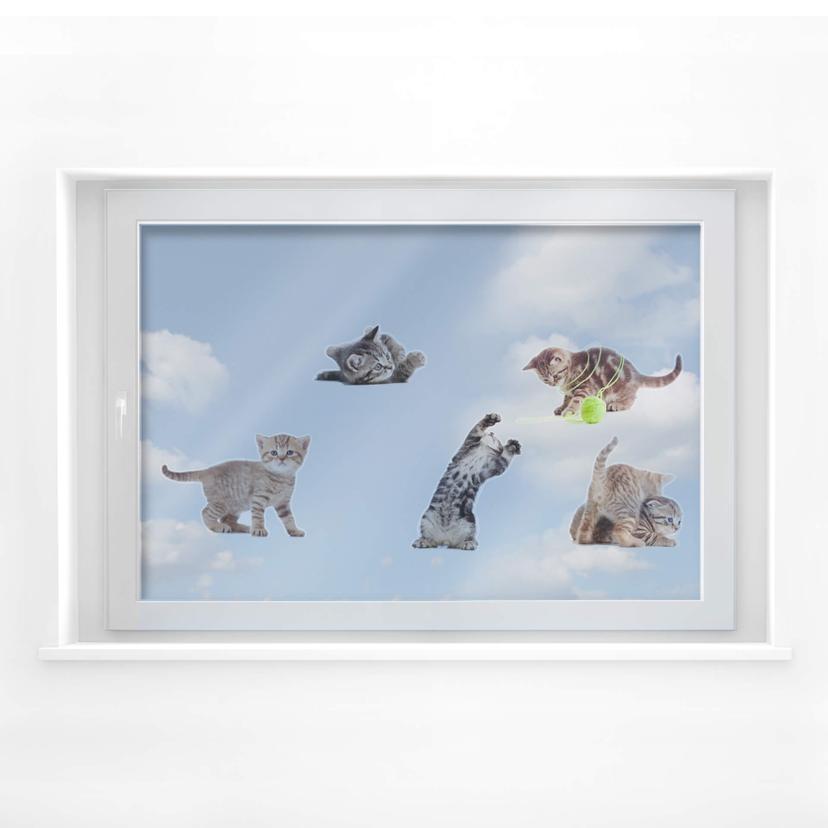 Cuadro de ventana Gatos bebé reales Set 02