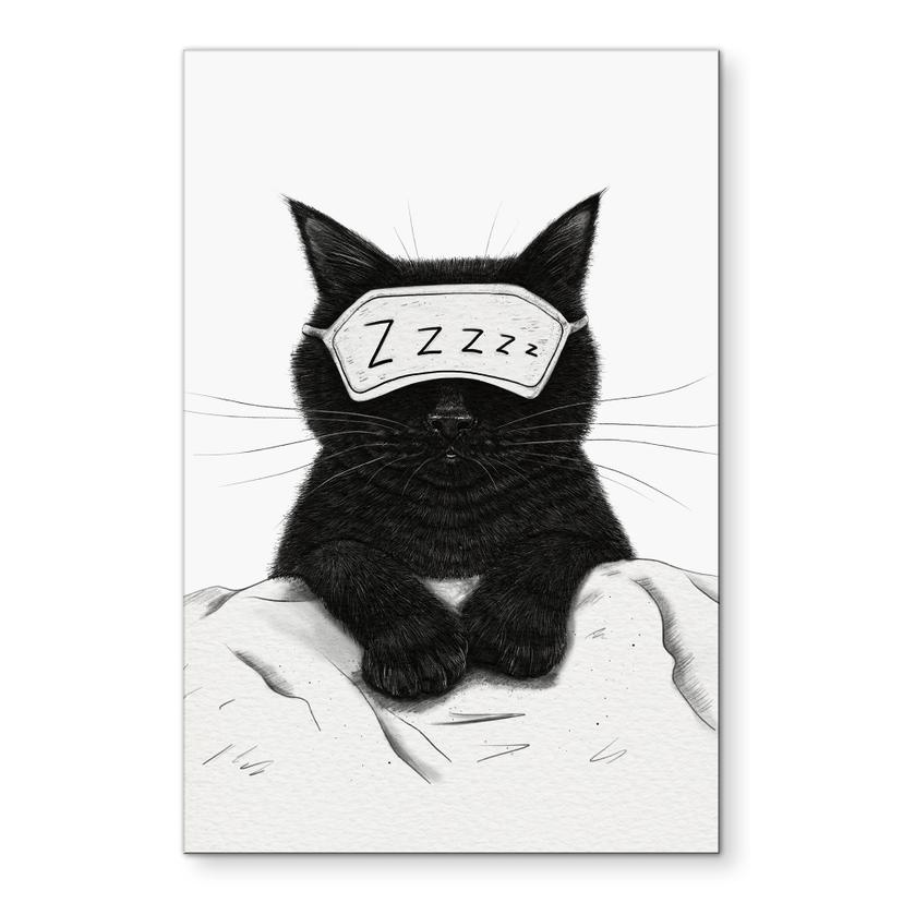 Wandbild Schwarze Katze mit Schlafmaske - Korenkova - Alu-Dibond