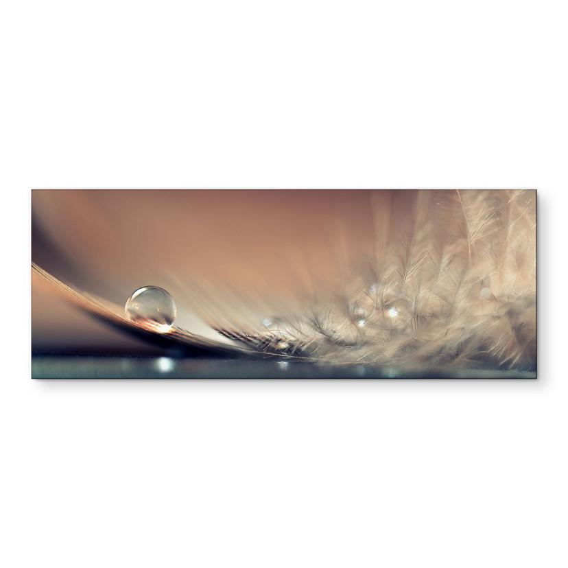 Wandbild Story of a Waterdrop - Dmitry - Panorama - Alu-Dibond