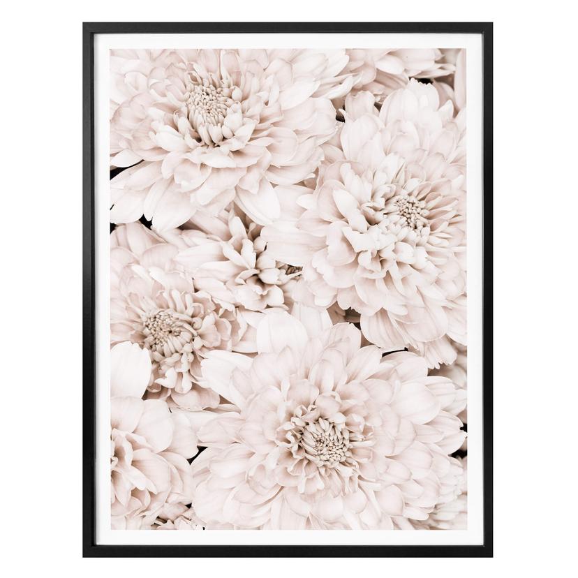 Plakat - 1X Studio - Apricot Aster