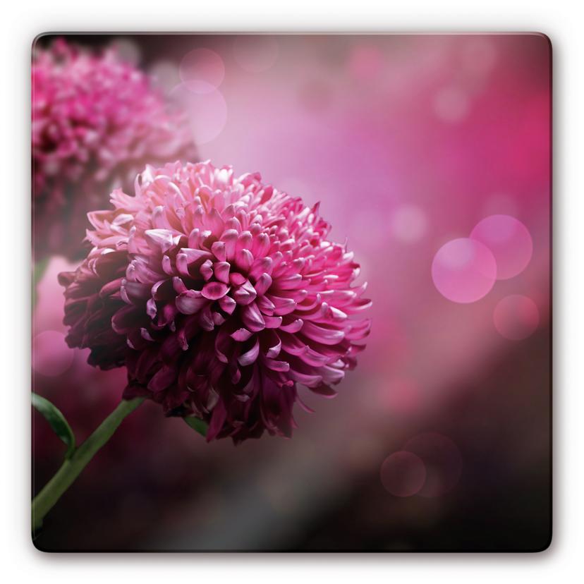 Tableau en verre - Dahlia Rose