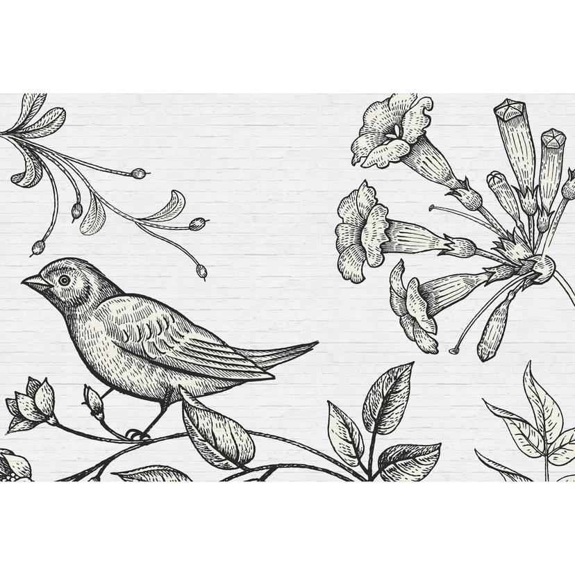 Fotomural Paredes de Patel birdy 3