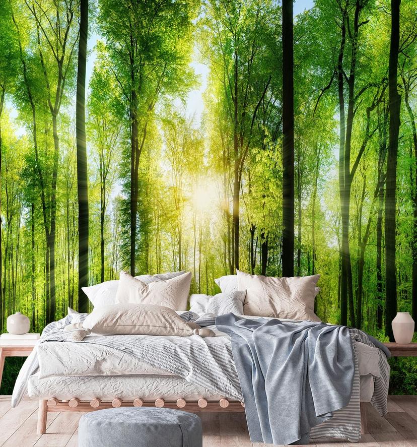 Fototapete, Wald Landschaft Natur Baume