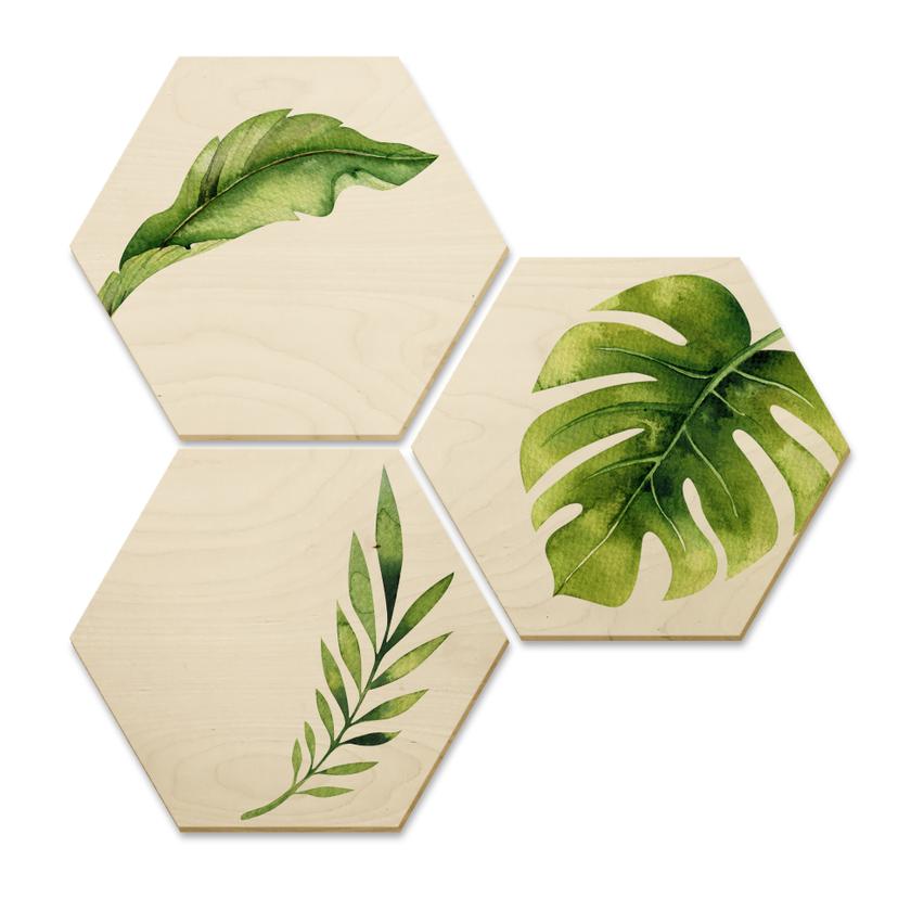 Hexagone - Bois placage de bouleau - Kvilis -Jungle 04 (Set de 3)