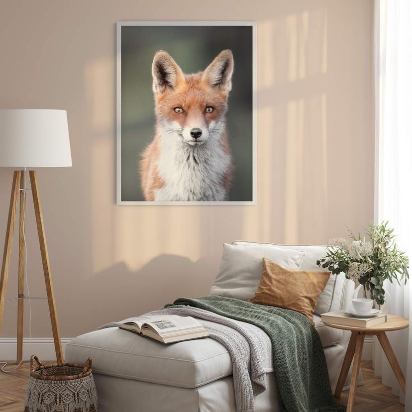 Poster van Duijn - Rävögon