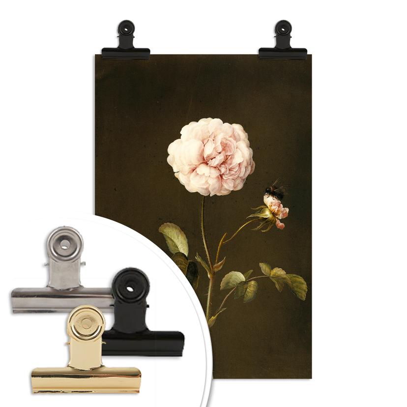 Poster Dietzsch - Rosa gallica con bombo