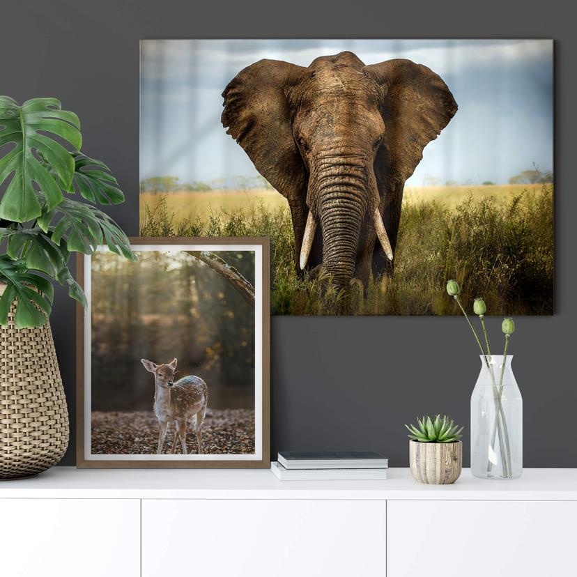 Tableau en verre acrylique - Ghizzi-Panizza - Rencontres dans la savane