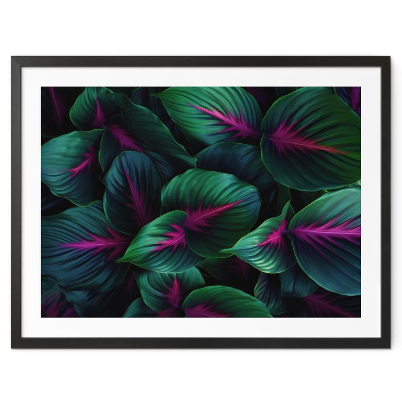 Plakat Farverige jungleplanter - Paksoylu