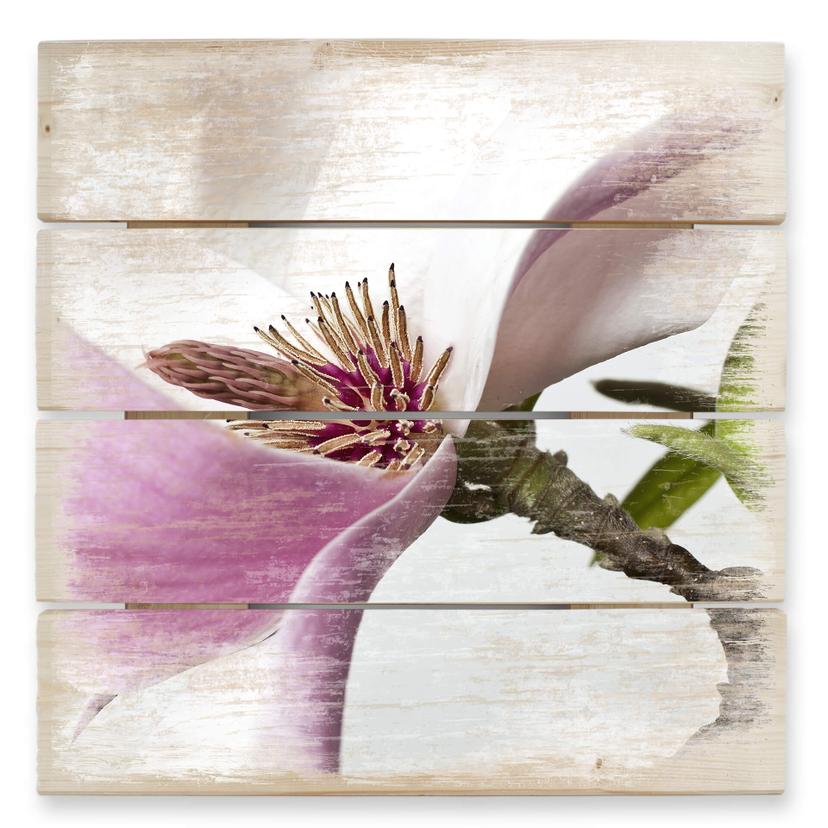 magnolie - print på træ