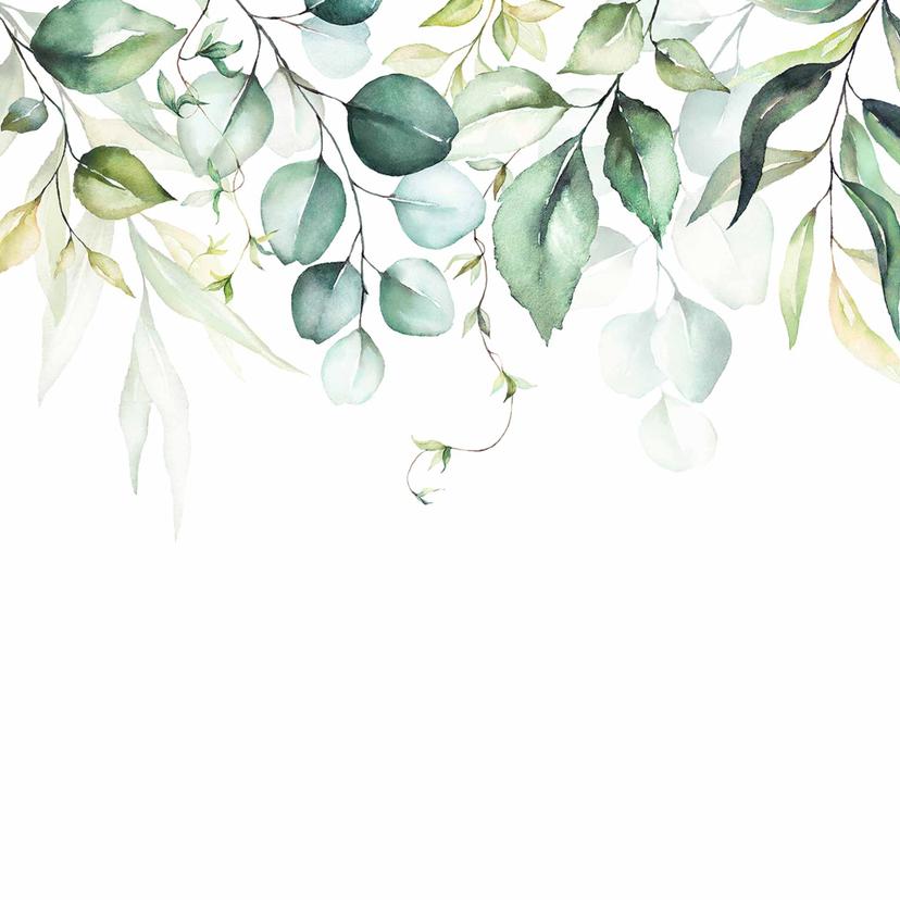 Carta da parati Watercolour Leaves in bianco verde - Carta da parati in tessuto non tessuto Designwa