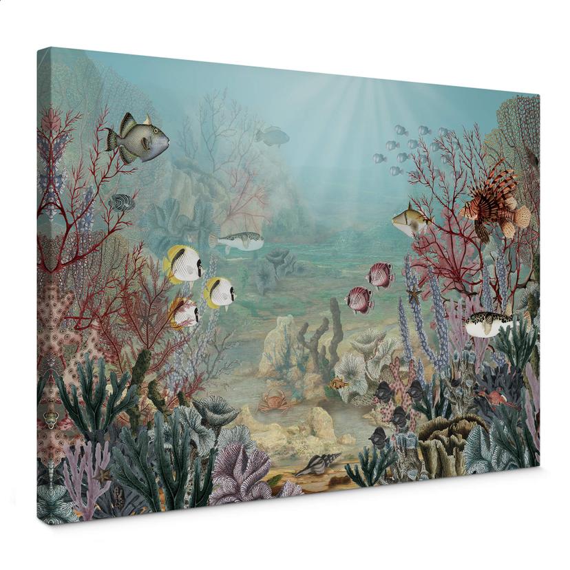 Lienzo Sir Edward - Habitante del coral