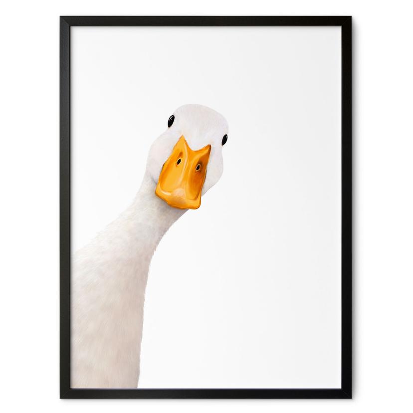 Poster Nyfiken Gås - Korenkova