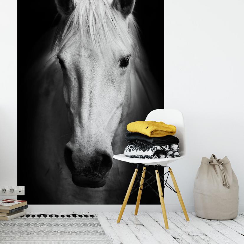 Fototapet White Horse - 144x260 cm