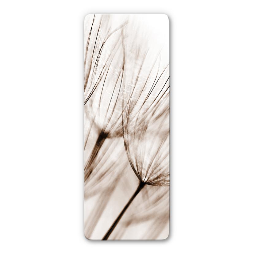 Tableau en verre - Aigrettes de Pissenlit - Panorama