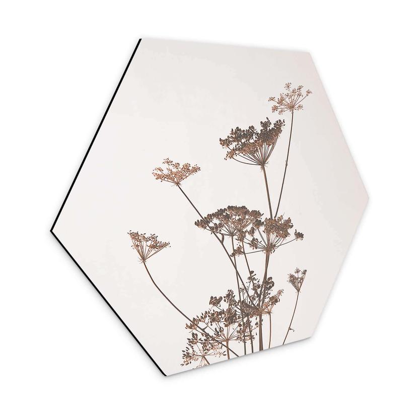 Hexagone - Alu-Dibond Herbes sauvages