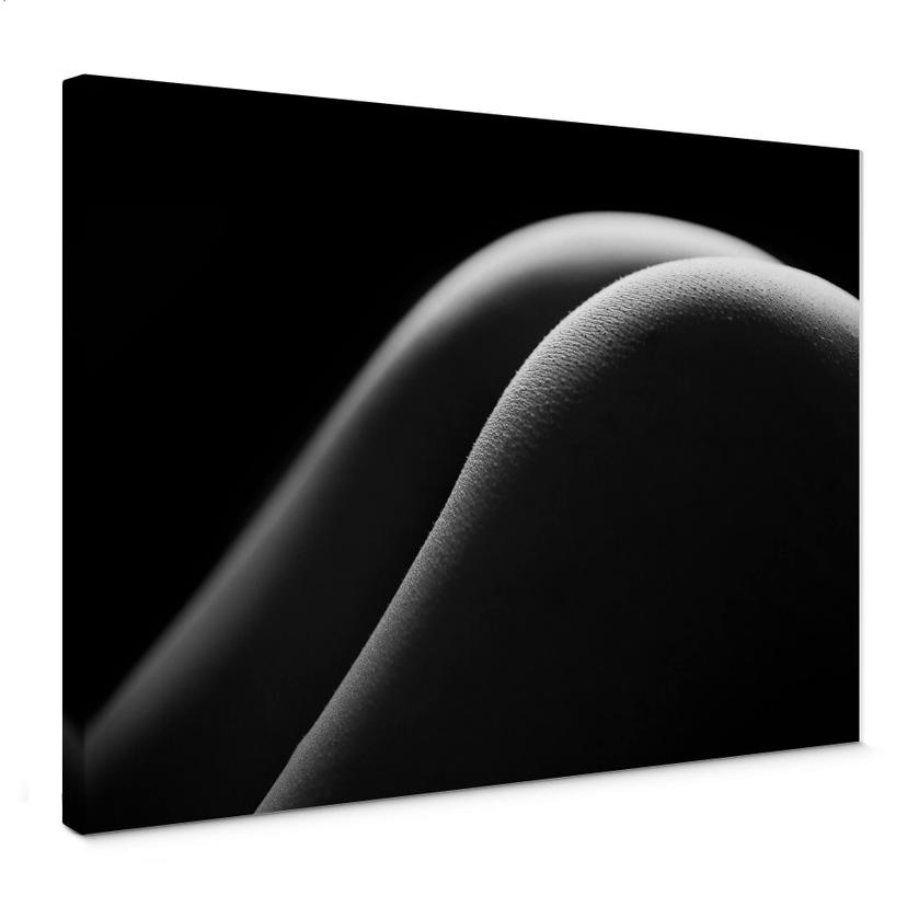 Tableau sur toile - Courbes sexy