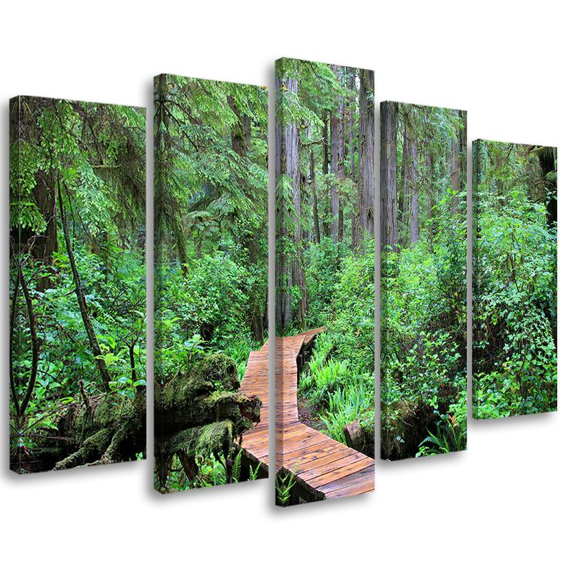 Tableau sur toile en 5 parties Cascade de la forêt tropicale