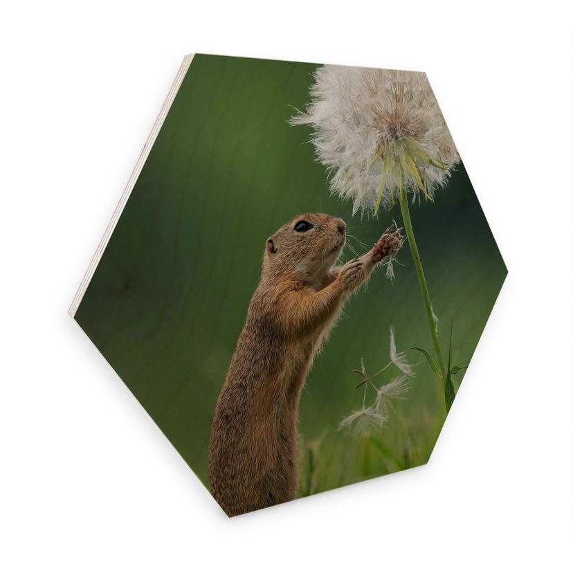 Hexagon berkenfineer Dick van Duijn - Eekhoorn met Paardenbloem