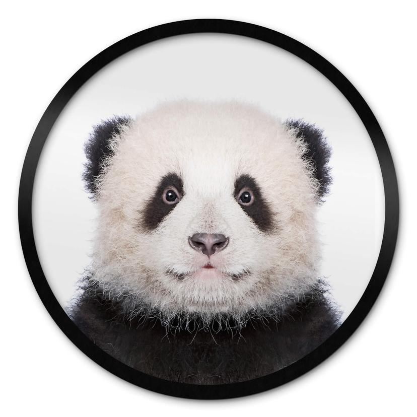 Póster Sisi & Seb - Panda bebé - Redondo