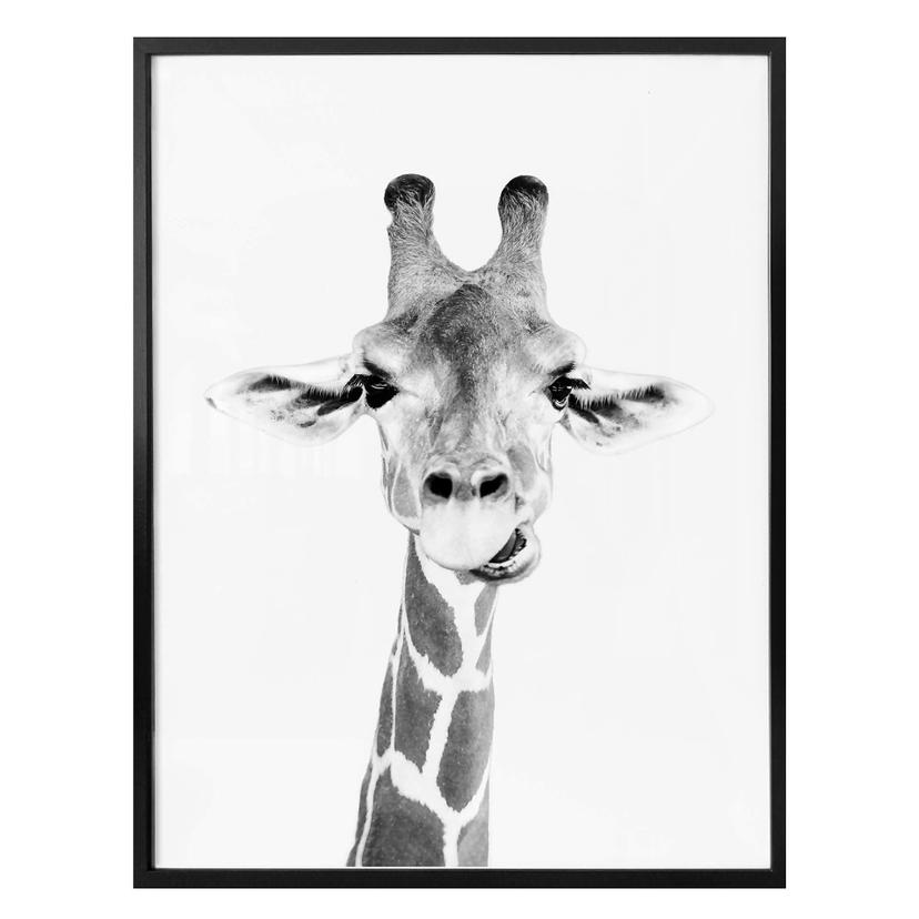 Plakat - Sisi & Seb - Happy Giraffe