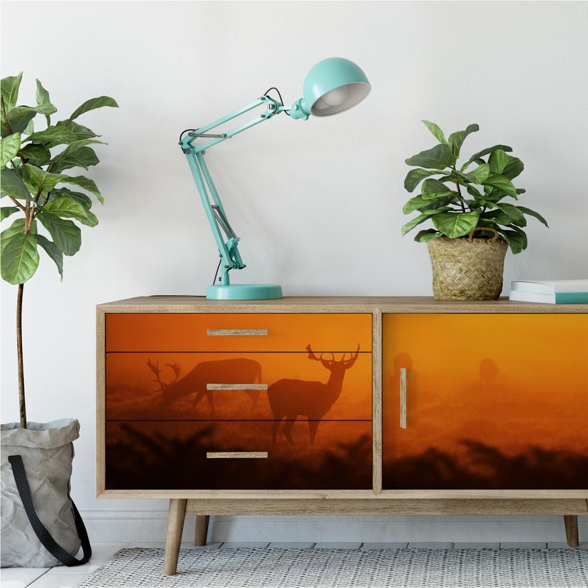 Wallprint - Cervo al tramonto
