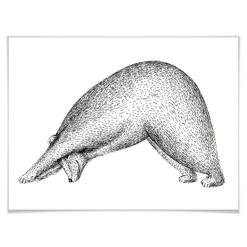 Poster Kvilis - Ours Yoga 01