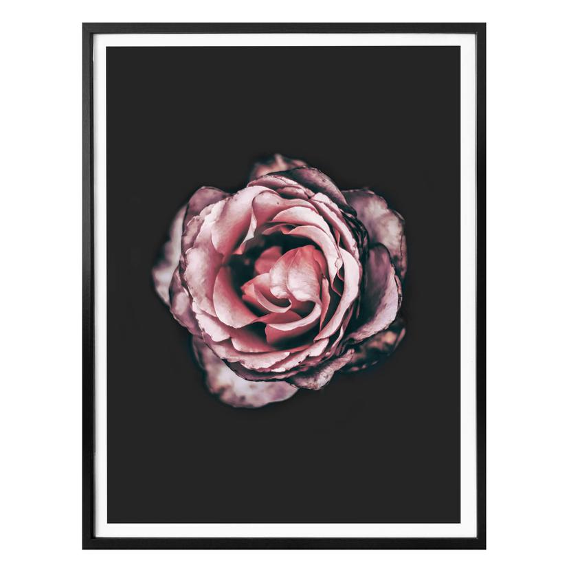 Premium Poster Pink Flower Dream 02