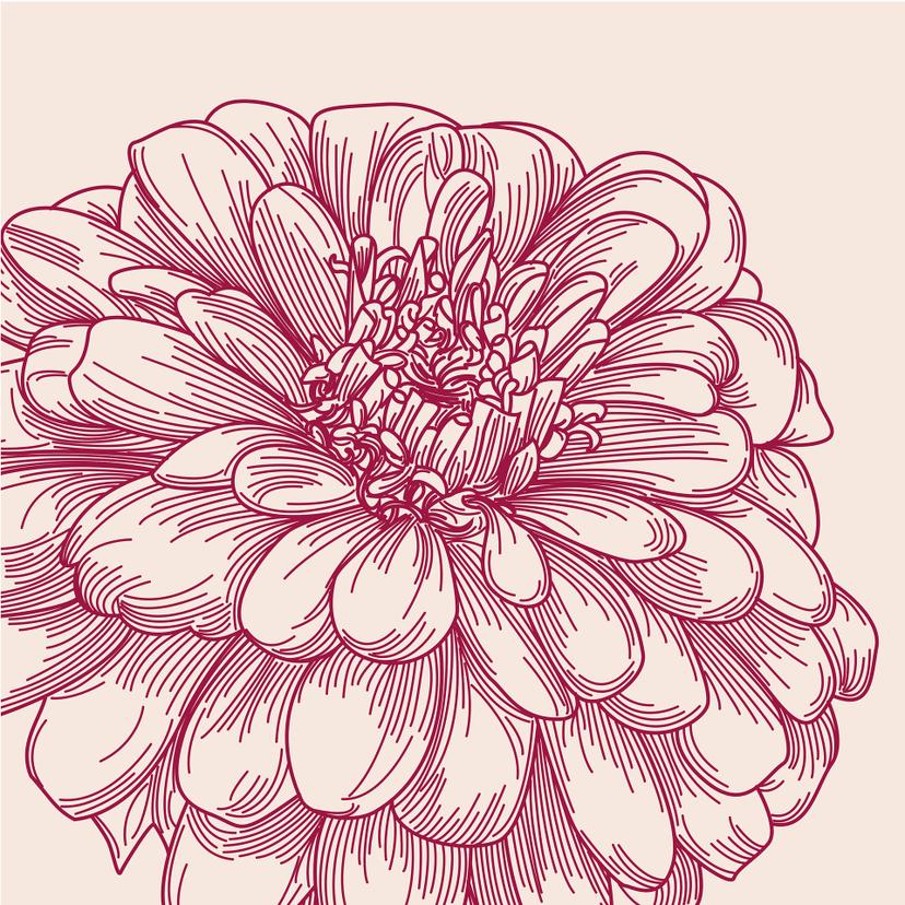 Fotomurale Fiore - Illustrazione