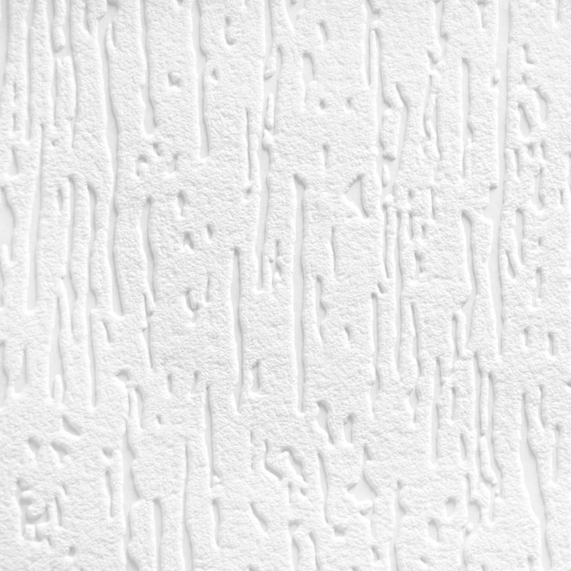 A.S. Création - carta da parati in TNT verniciabile Meistervlies Pro Protect 2, colore bianco