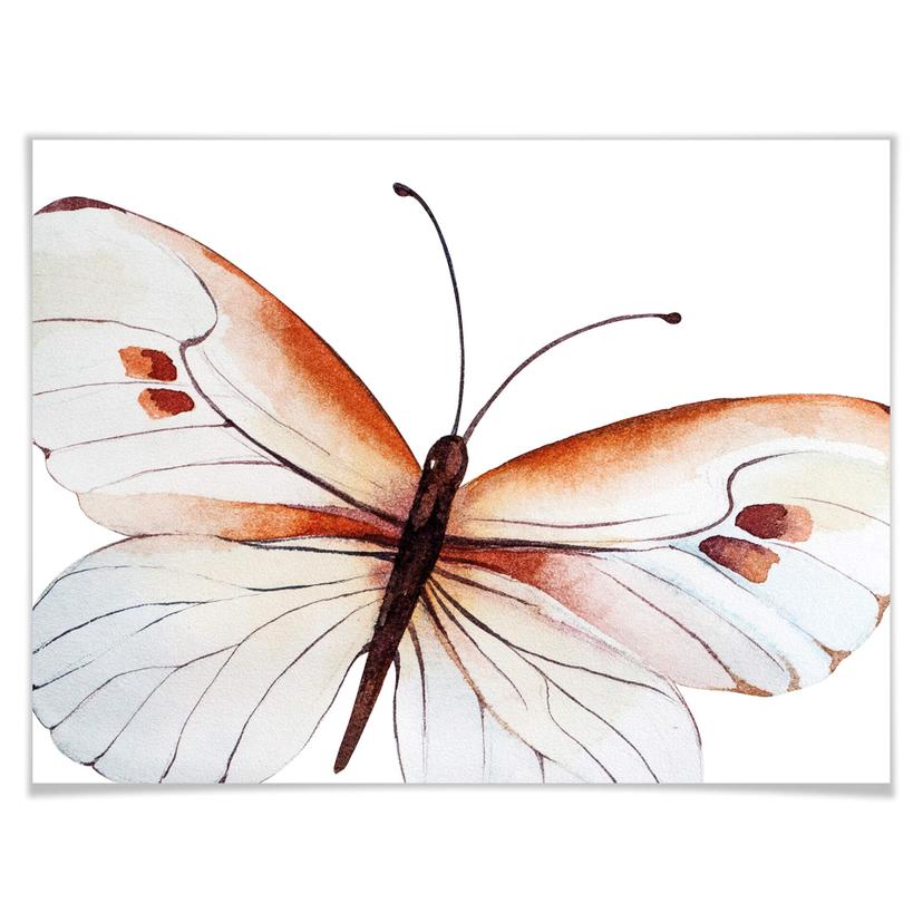 Poster Kvilis – Farfalla 04