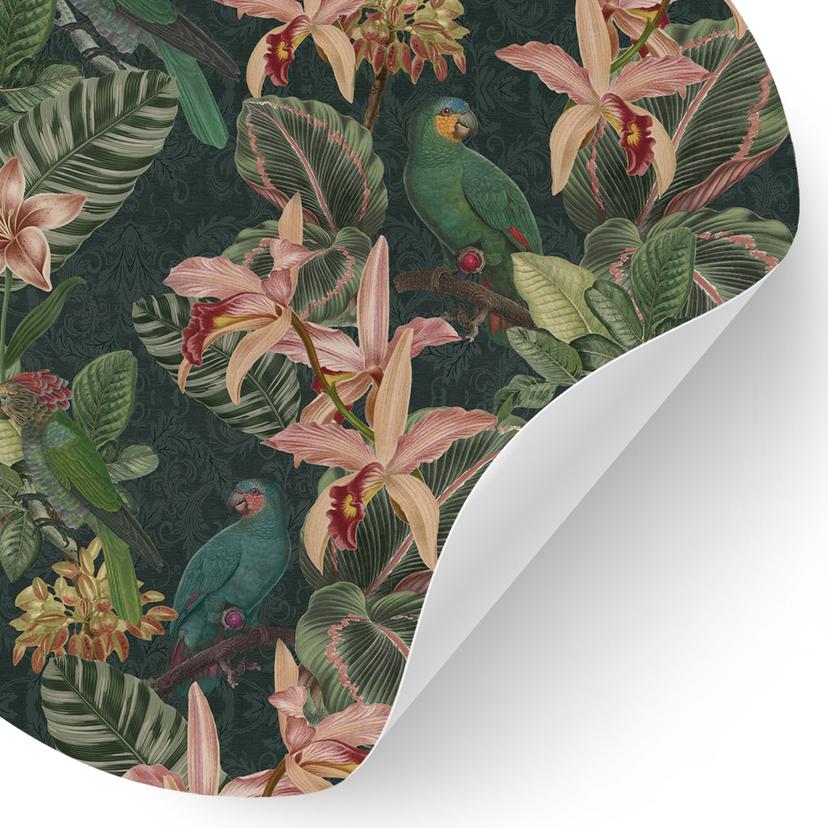 Djungel Wallsticker med papegojor nattgrön - Blomstersmycke Dekor - Rund