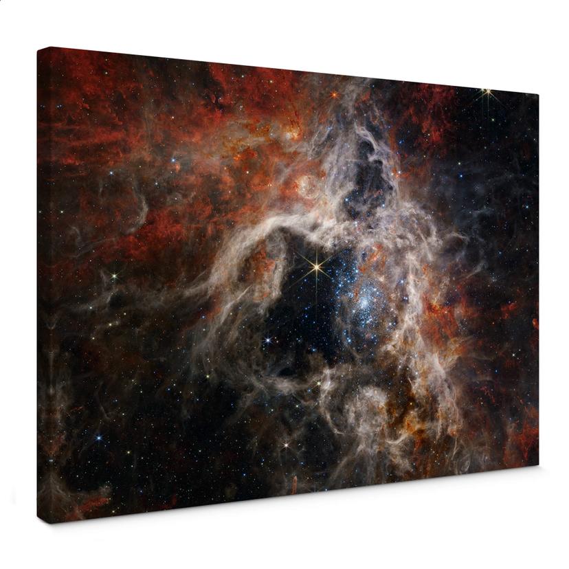 Lienzo Telescopio James Webb - Nebulosa de la Tarántula