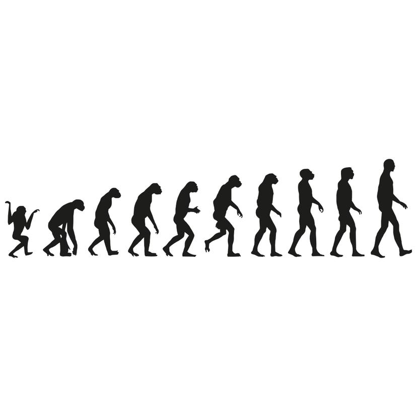 Adesivo murale - Evoluzione